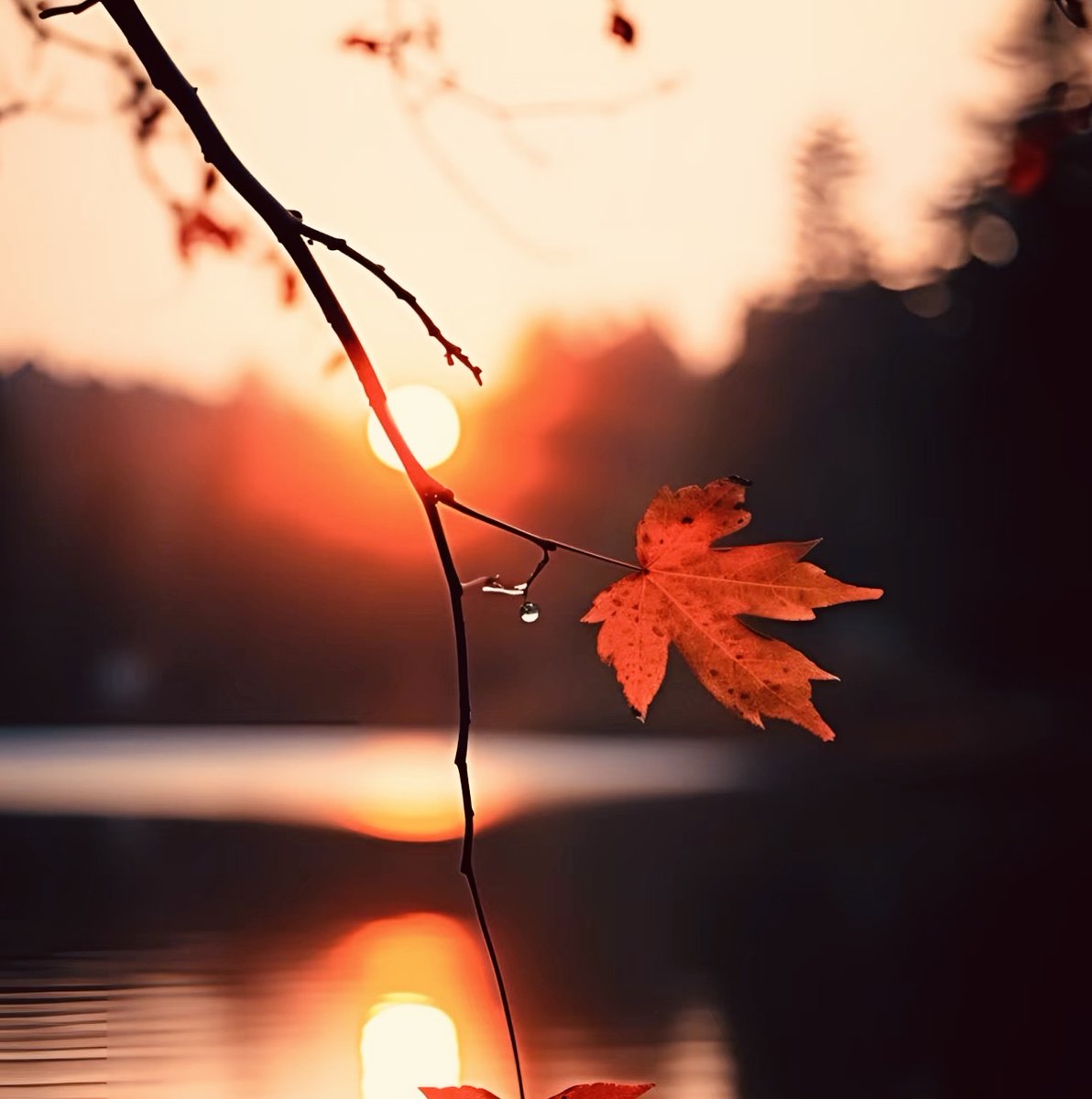 Alfathx1's tweet photo. Today’s autumnal equinox! Balance, gratitude u0026 cozy vibes all around ， https://t.co/5fh7TUGHXP