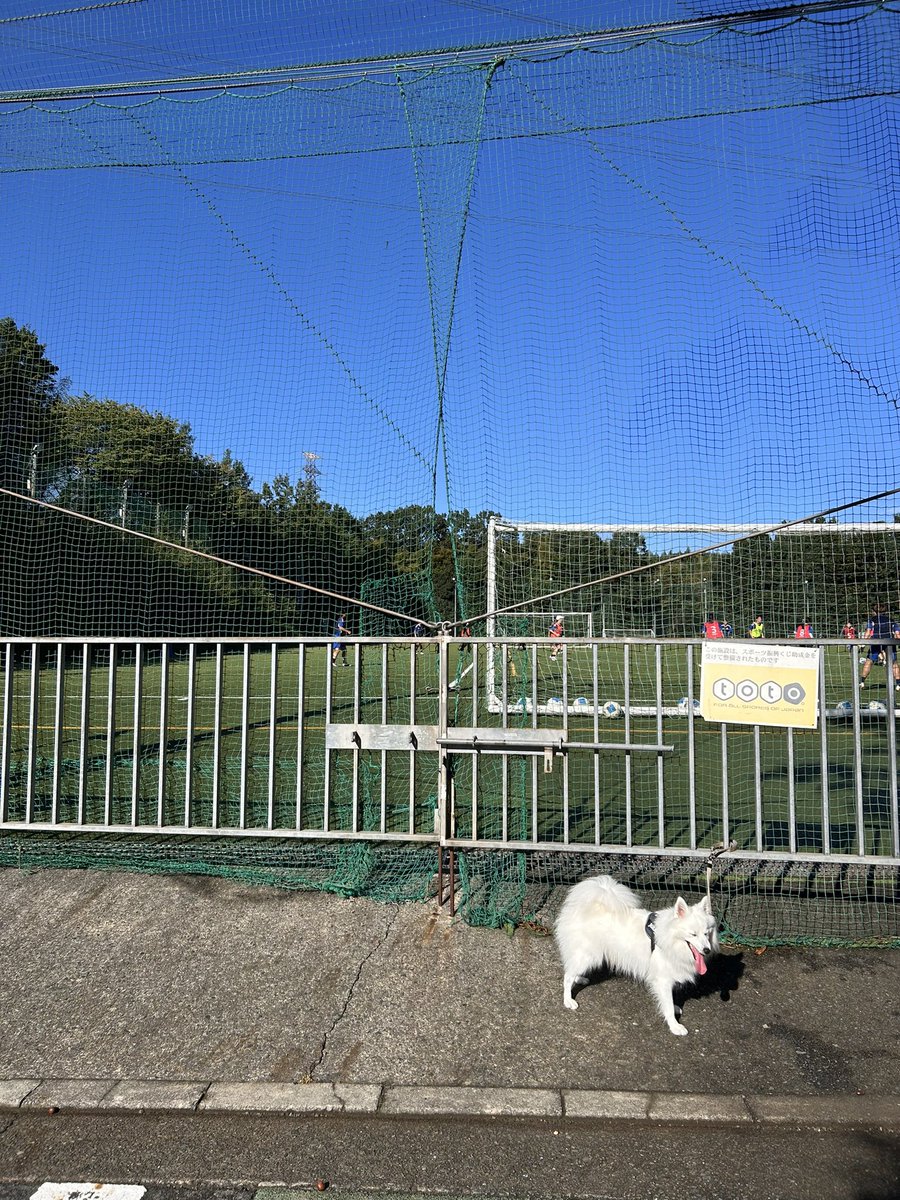 gplilly328's tweet photo. おっはよ〜

おれも来た😊

そると https://t.co/SszlLjKbJm