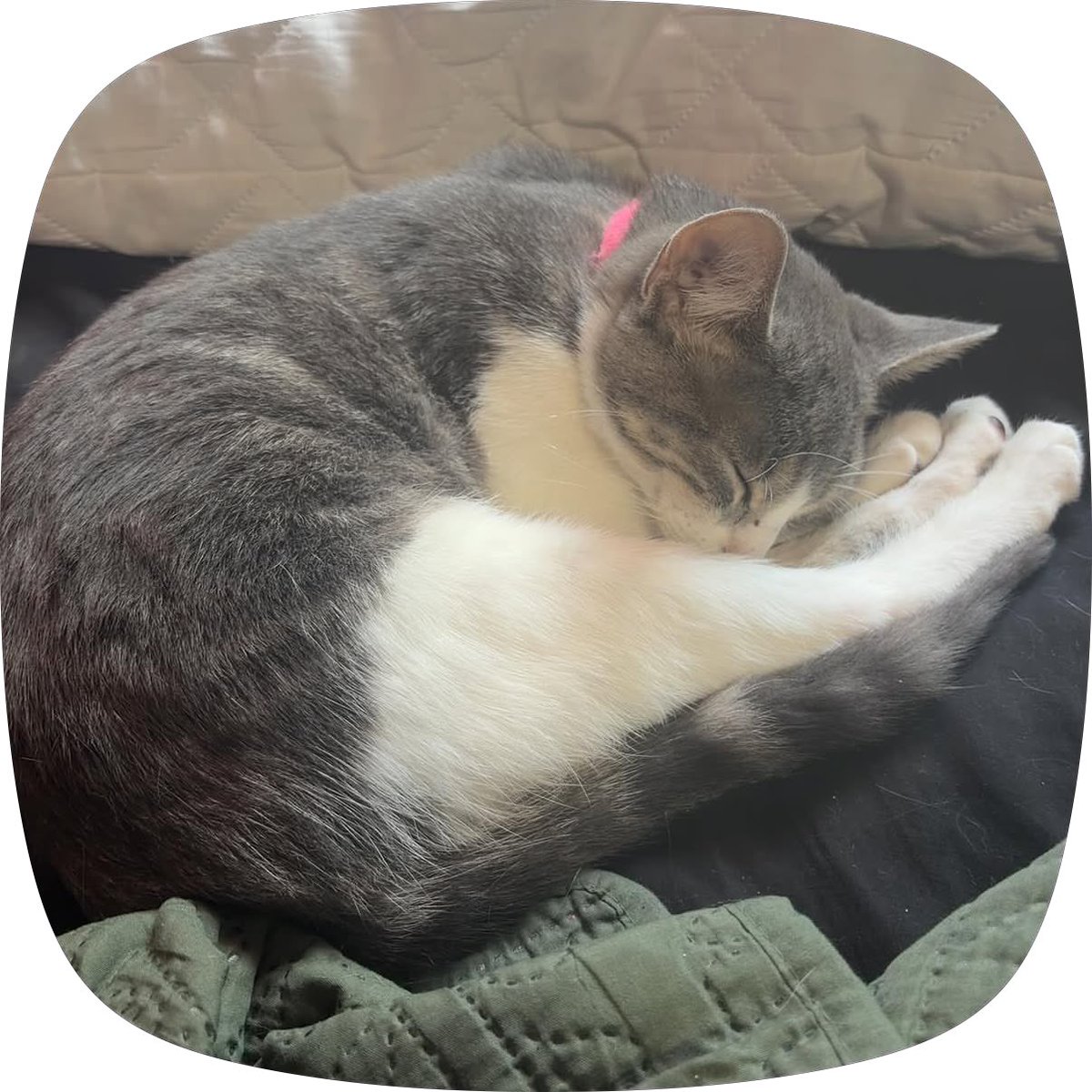 olliefish00's tweet photo. I miss my baby https://t.co/63fidRpvAd