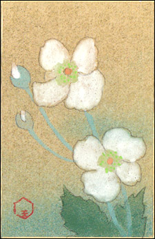tanjyouka's tweet photo. ９月２２日の誕生花

【秋明菊／しゅうめいぎく】
花言葉：円満：

京都の貴船山に多いので、貴船菊という高貴な別名もあります。園芸種はたくさんあって、秋の庭を飾る小草として万人に愛されています。花のシンプルさもさることながら、茎の優美さに惹かれる人も多いのです。 https://t.co/v8IiKYKzrP
