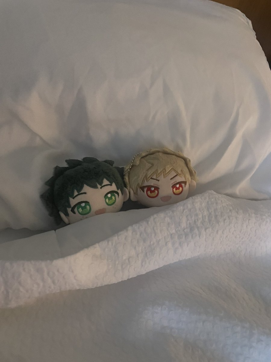 chargeboltpizza's tweet photo. shhhh they are sleeping…. https://t.co/RTBaieeSWK