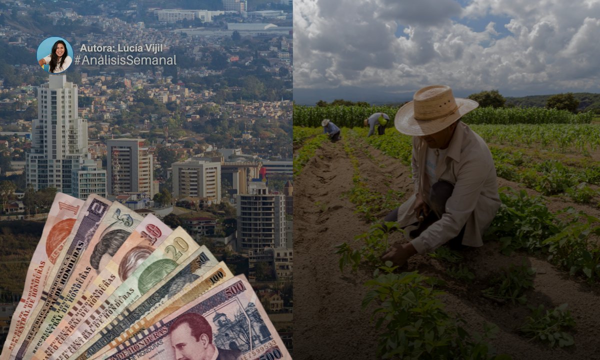 CESPAD_HONDURAS's tweet photo. ¿Quién decide sobre los territorios en Honduras?

En los últimos meses, comunidades campesinas, indígenas y garífunas han intensificado sus acciones frente a leyes, desalojos y decisiones estatales que consideran favorables a intereses empresariales.

¿Cómo se expresa esta relación entre Estado, empresas y conflictividad social?

Lee el análisis completo: https://t.co/zvxKz8OrBe

#CESPAD #CentrodeEstudio #Honduras