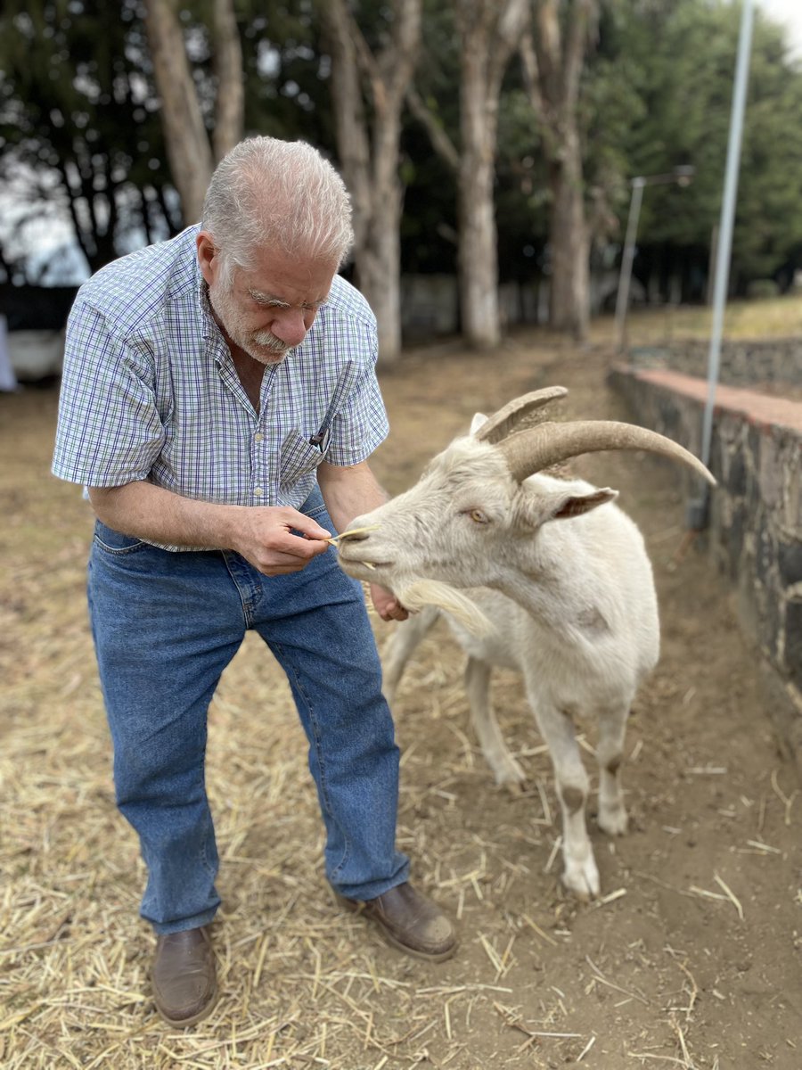 Alina_Gag's tweet photo. No se imaginan cuantos mensajes envié a funcionarios de la alcaldía MH. Pedía citas para verlos. Estuvimos ahí diario durante meses

Les explicaba que la situación era invivible. Les pedía por favor vieran nuestro caso. Les hablaba de mi papá de 68 años y de los animales https://t.co/ZaAina0tWI
