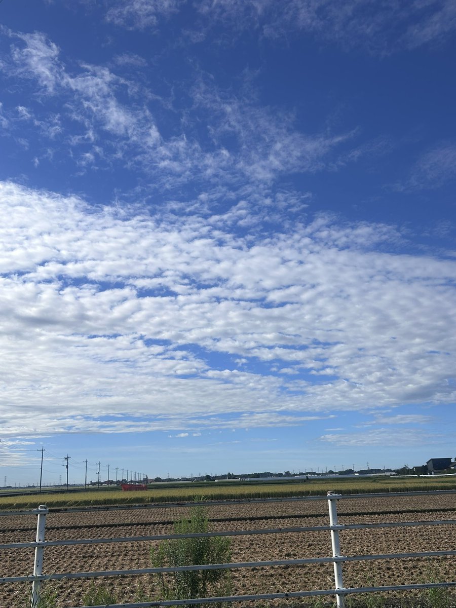 ghostchirol09's tweet photo. 台風一過の清々しい空だね https://t.co/lBaTs3Hvye