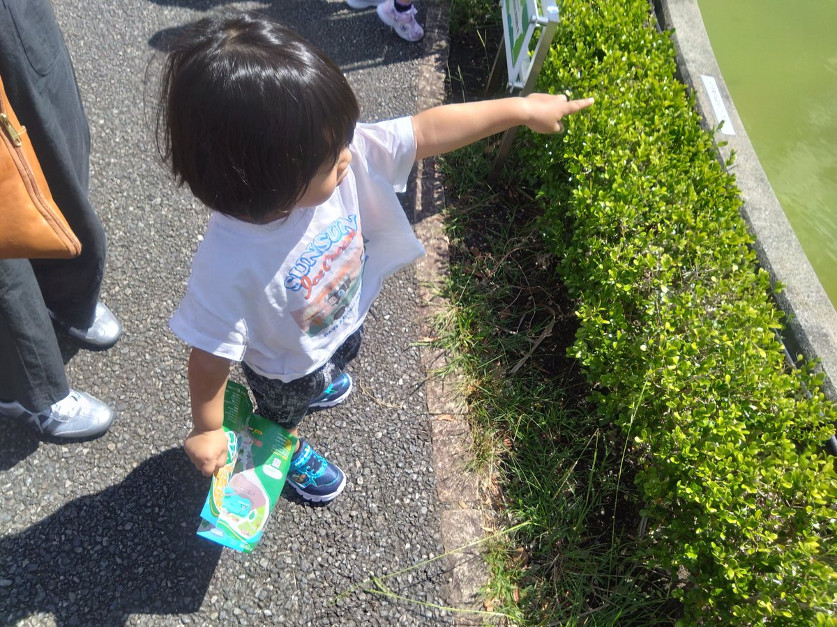 KntYcman's tweet photo. 敬老の日という事で、おばあちゃん達に会いに久しぶりの熊本へ🧸 https://t.co/msac1VgAD8