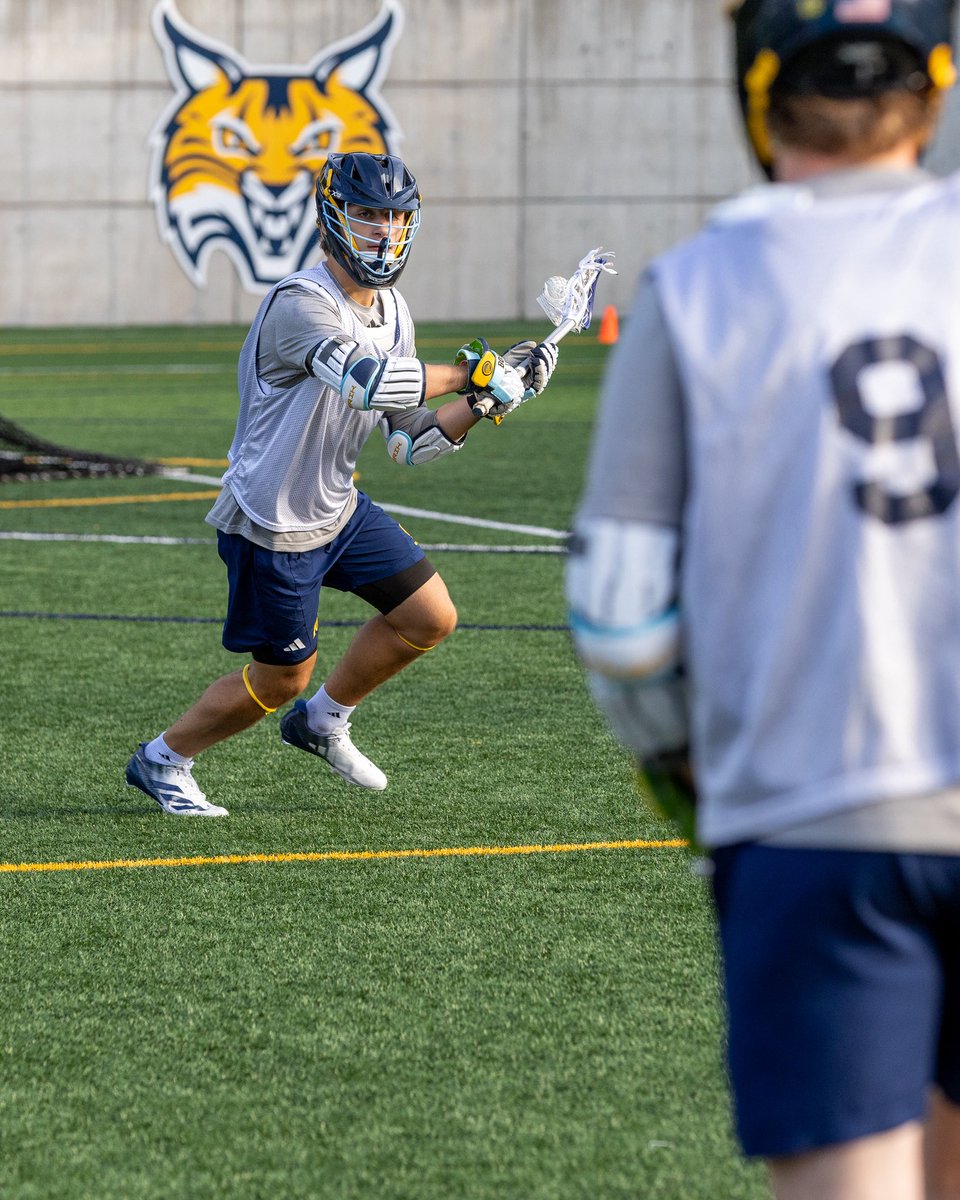 QU_MLAX's tweet photo. Fall Ball 😼🥍 https://t.co/IAc8GxViIH