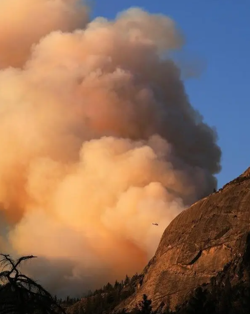 posted_news's tweet photo. #DomeFire: Two helicopter pilots were killed when their Eurocopter AS332 crashed while conducting water drops on the in Yosemite National Park area. The FAA and NTSB are investigating the crash. The fire has burned more than 3,388 acres and is 15% contained. https://t.co/uSBI6nooQK