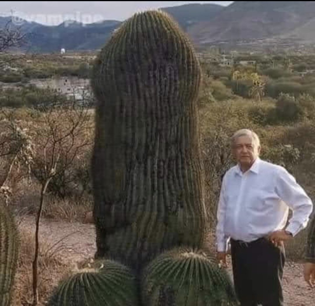 antop1234's tweet photo. @pedroferriz3 @VicenteFoxQue Esta es la que te gusta dar de sentones inche maricon https://t.co/Hd0zYWBwjA
