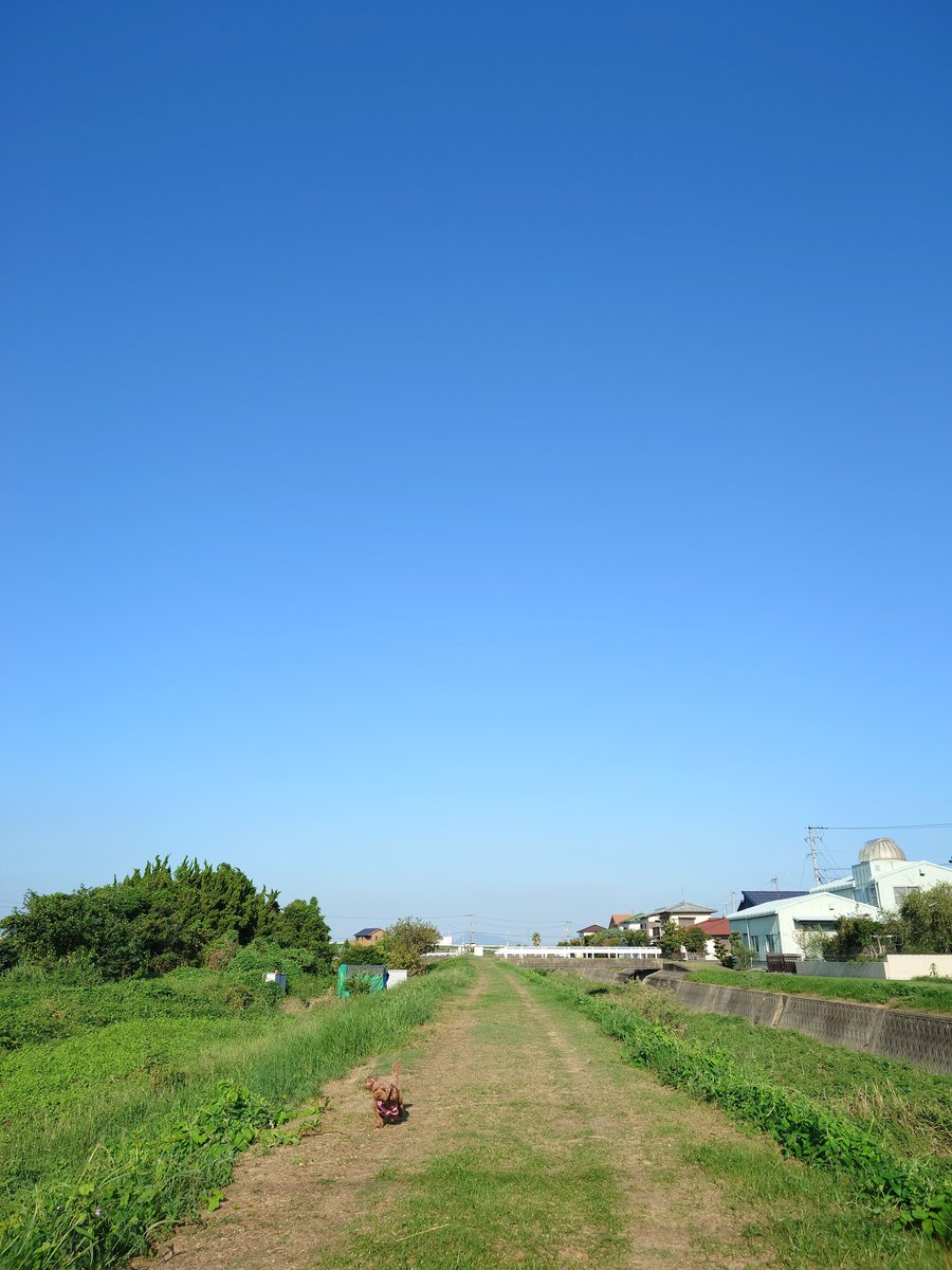 8Hidekichi's tweet photo. 国民の休日に
朝散歩

昨日とは
打って変わり

雲一つない

晴天

です https://t.co/nAB5HXPIoF