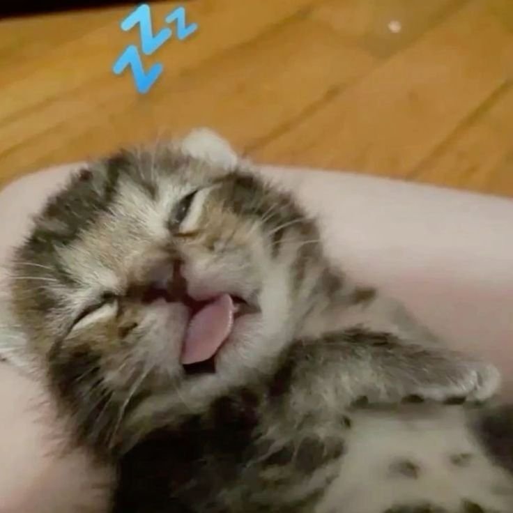 Followmei_'s tweet photo. Me duele horrible la cabeza, creo que debería irme a dormir, así que, hasta mañana 😩 Chau https://t.co/4IxNQIYFvZ