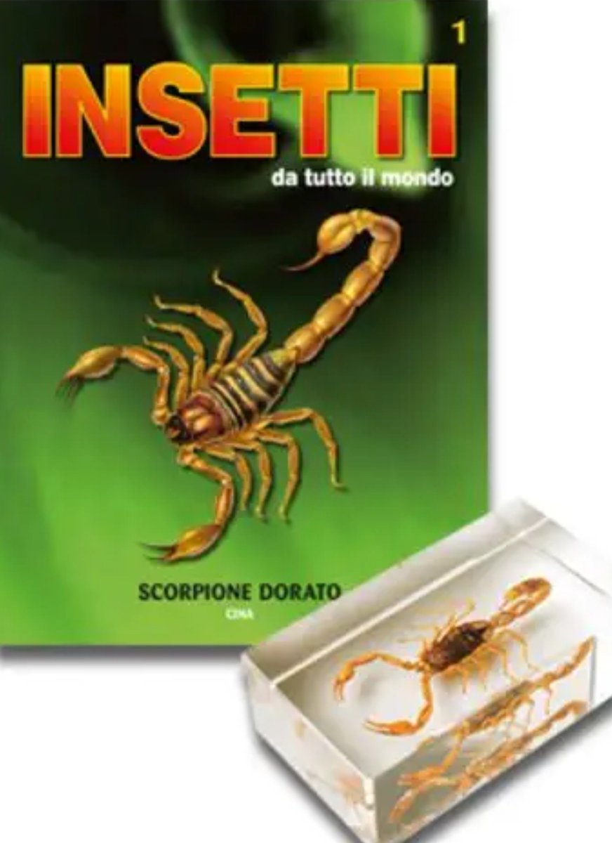 Nicola_Bressi's tweet photo. Vedo una pubblicità e mi viene da imprecare.
Non solo animali uccisi e venduti come soprammobili o figurine, tipo collezione di trofei da mentalità ottocentesca;
pure ragni e scorpioni definiti "insetti".
L'apoteosi della diseducazione.
Siamo nel 2026, che Iddio gli aracnidisca ! https://t.co/ozp99PQ0Xo