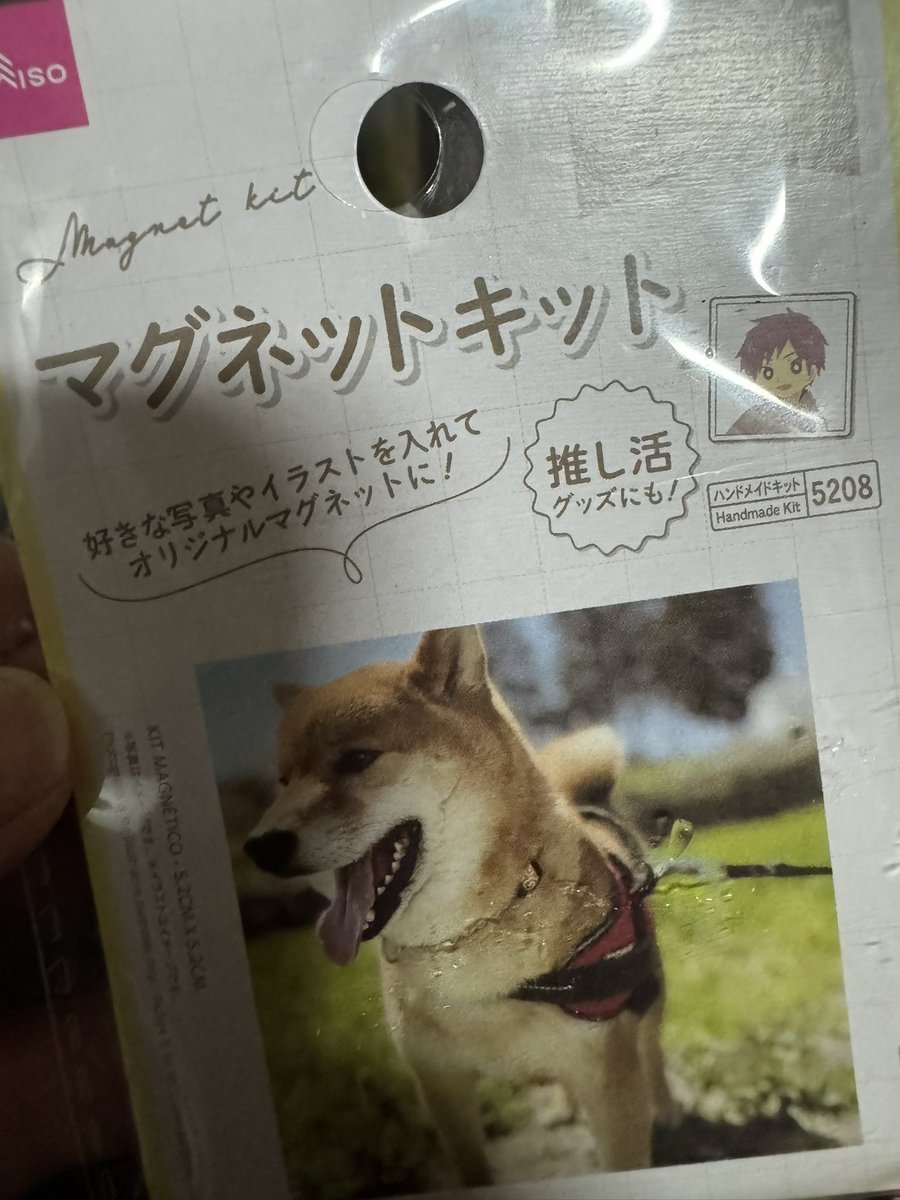 WolfOrz's tweet photo. ダイソーのこれに…こう！
ぎぃ可愛い(´･皿･`)ｷﾞﾘｨ! https://t.co/8zibKVuFrw