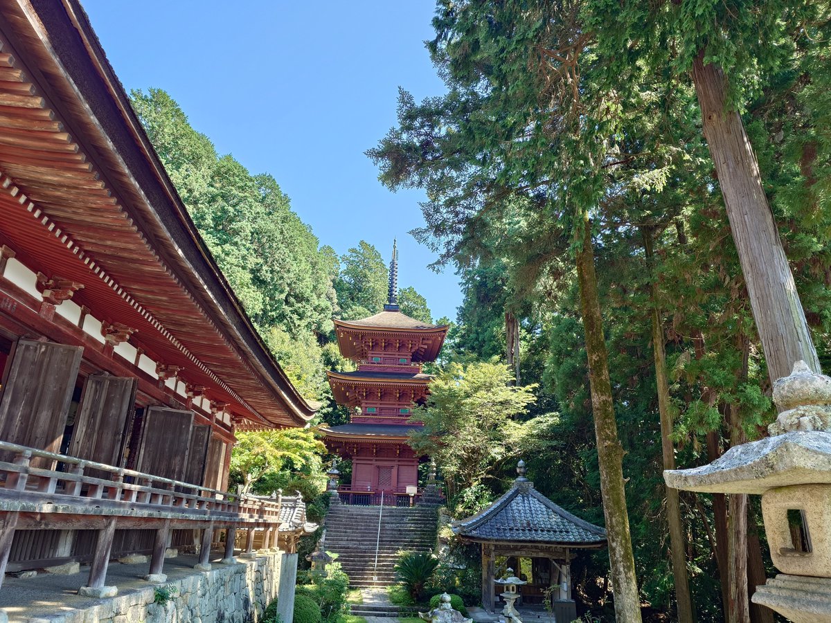 juriere's tweet photo. 八幡山に向かってたのだが、長命寺に着いた？？？🙄
せっかく来たので、808段登ってきた… https://t.co/03J6lplktF
