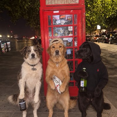 MoneyAncient's tweet photo. #NewProfilePic https://t.co/U4aql22BPP