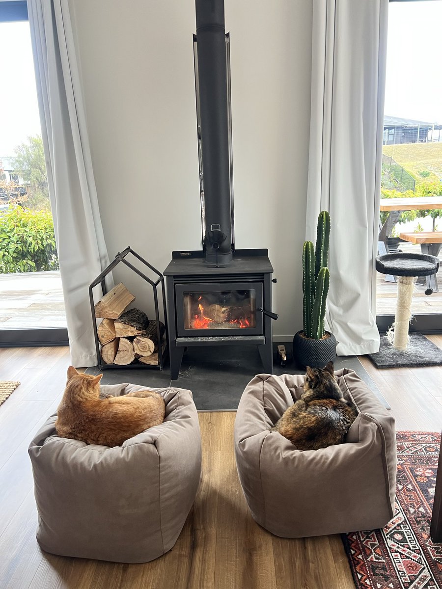 madoutthere's tweet photo. Cozy https://t.co/4o7tItXDuw
