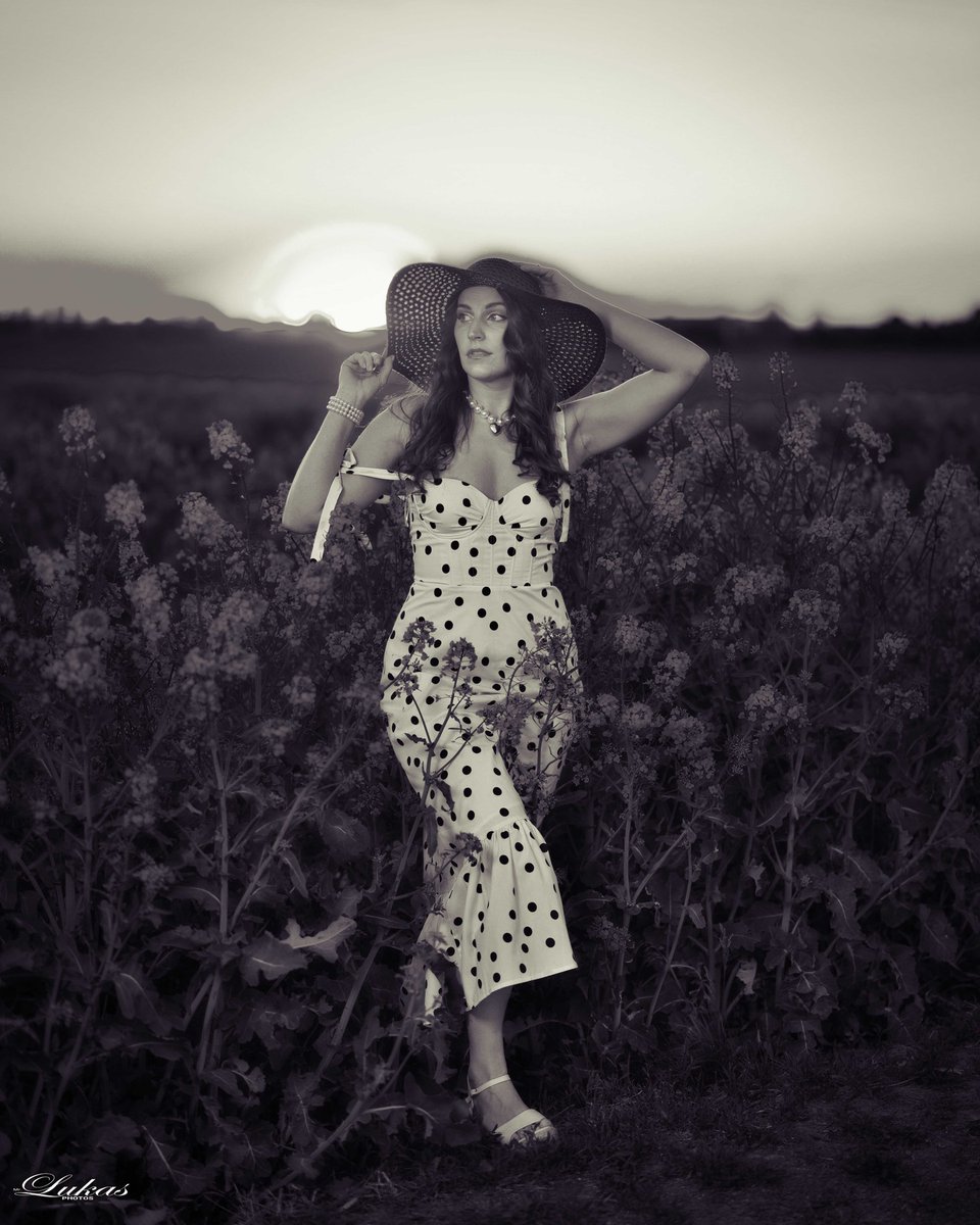 averyroberts6dv's tweet photo. Golden hour in the field. The sun’s final touch on the model moments before darkness. A dreamlike artistic capture, filled with springtime feelings and happiness. https://t.co/cNbxcRxqHT