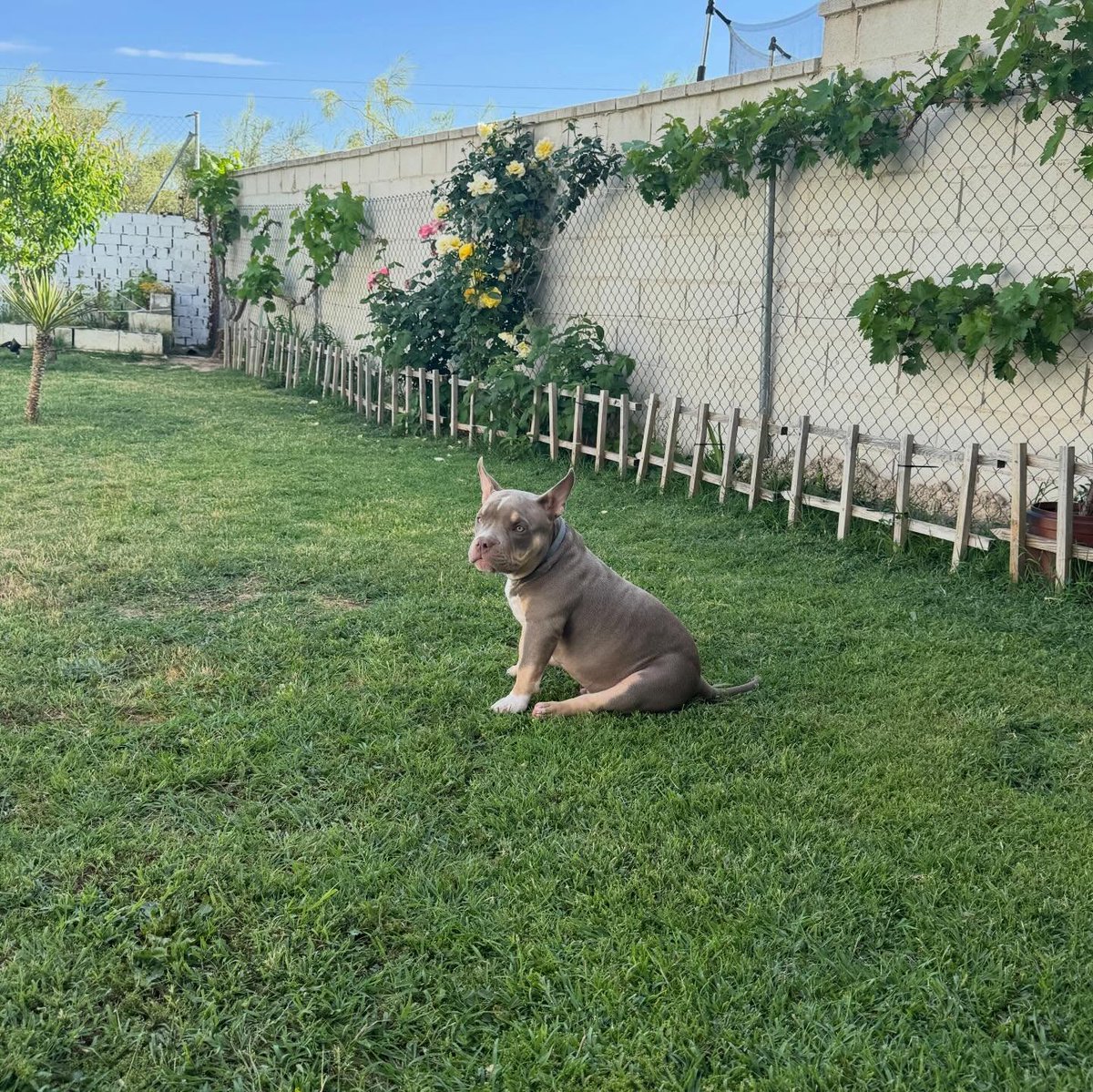 addisonwilopct's tweet photo. At the grandparents’ country property. https://t.co/37yFI3CIz3