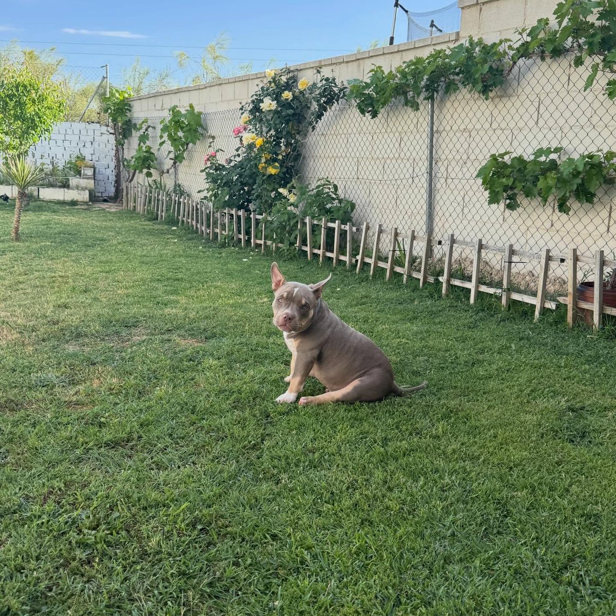 addisonwilopct's tweet photo. At the grandparents’ country property. https://t.co/37yFI3CIz3