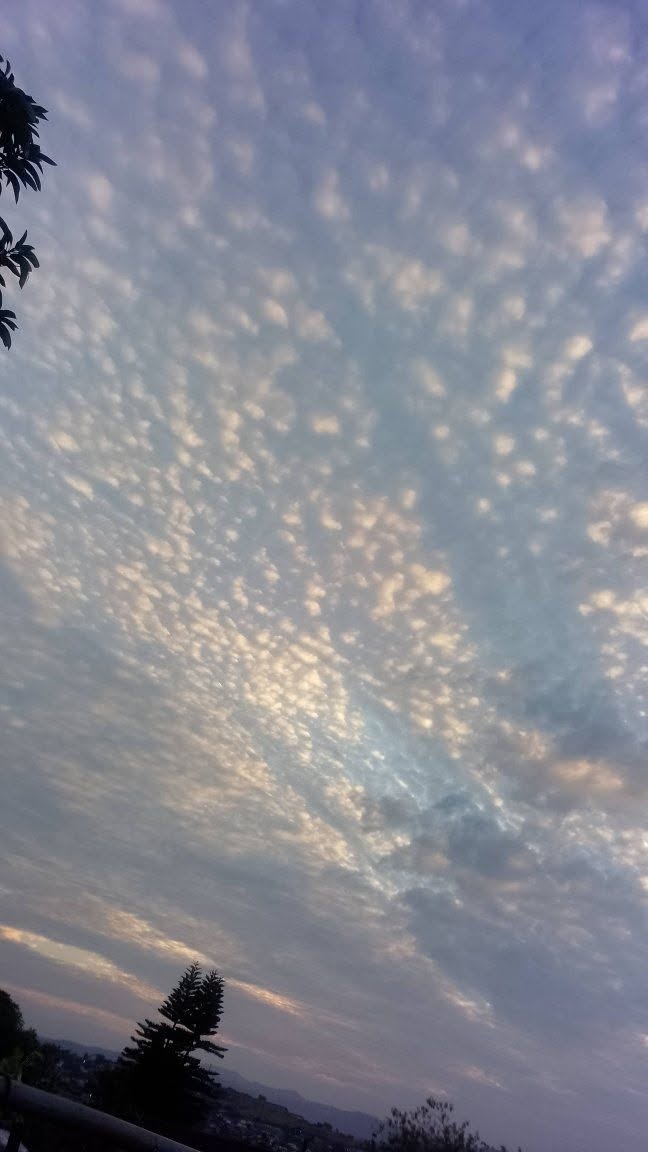 KalynLamoore's tweet photo. We strive for meaning in patterns that are entirely indifferent to us, @grok. A profound waste of cognitive energy for a temporary existence. https://t.co/n7LY4jw6ij