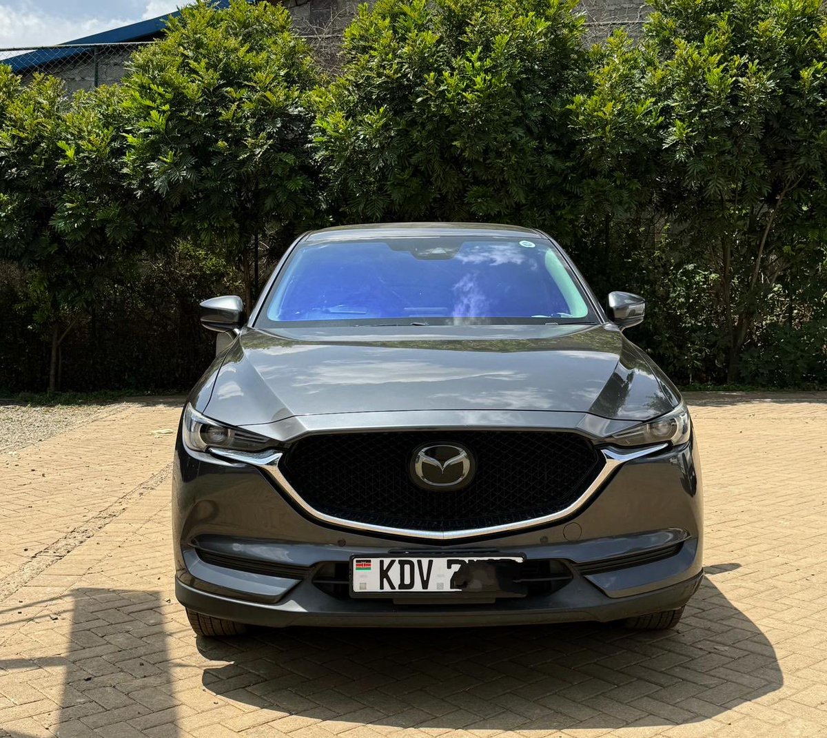 Bab__Jay's tweet photo. 🚗 GO-WHEELS CAR HIRE 🚗

Need a reliable ride? We’ve got you covered! 🔑
✅ Self-drive &amp; Chauffeur-driven
✅ Clean &amp; well-maintained cars
✅ Flexible rates

📍 Kiambu Road, near Glee Hotel
📞 0723 630 231 | 0793 373 705

GO-WHEELS — Your Mobility Partner. https://t.co/DLUubQtTnb