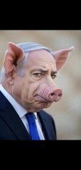 onion_i90's tweet photo. Fuck Israeli https://t.co/H7iXQmYMyS