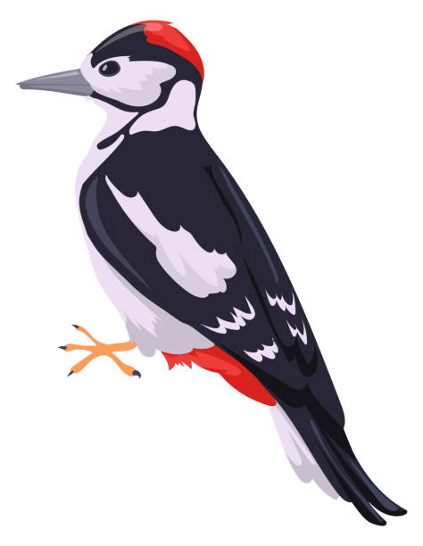 MeriStinchwlkk's tweet photo. 冬の祖谷渓ではツバメが鳴く姿が見られる。 https://t.co/0YO6Y9qNYO