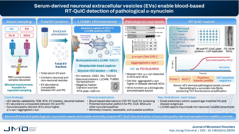 JMD_2008's tweet photo. Serum Neuronal Extracellular Vesicles for RT-QuIC Assays to Detect Pathological α-Synuclein in Synucleinopathies https://t.co/YSSaW72uIO https://t.co/aIn0RqIKyp