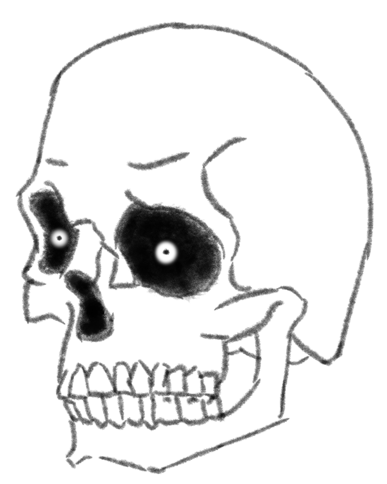 Ian8ocho's tweet photo. Before I go to bed I would like to say thank you for everyone who came over from my main to here to follow/like. This account is for casual posting of my art and acts mostly as a motivator. None the less I appreciate the support. Also look at this cool skull I drew. https://t.co/j9zyXzwBUO