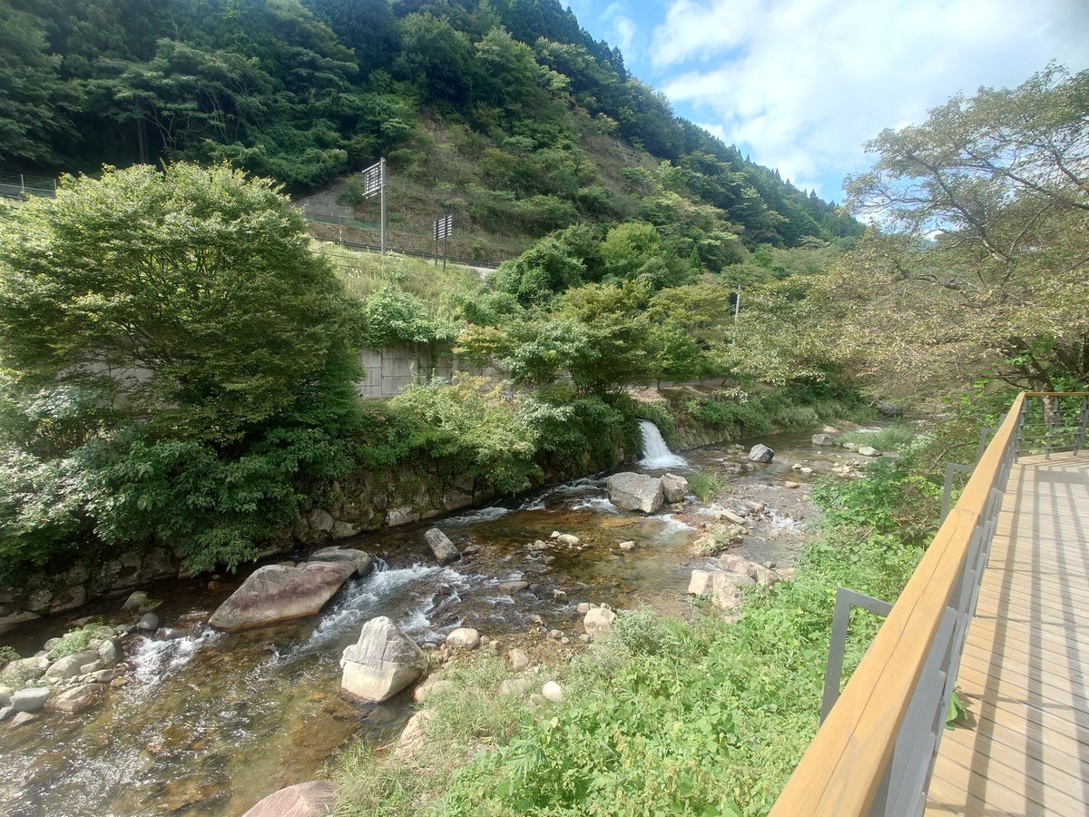 _tumu's tweet photo. 道の駅あわくらんどの裏道ほんま涼しくて綺麗ですき https://t.co/7Z4hOOeVM3
