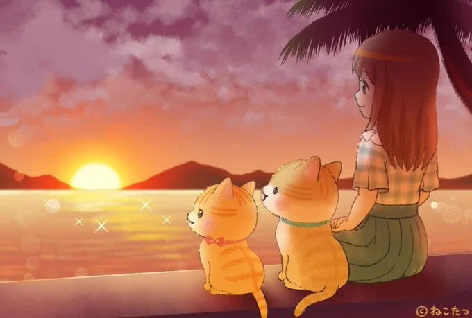 公式】ねこたつ 〜 いつでもそばにいるニャ。 (@nekotatsu5) / X