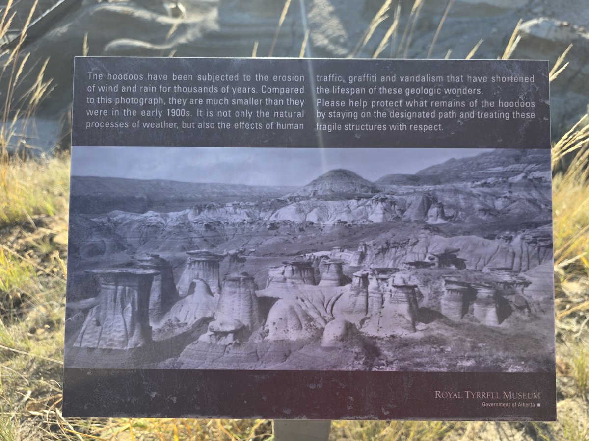 3rwinU's tweet photo. Hoodoos 😮nature is slowly taking them away, but human impact has made it worse. Let’s enjoy them and help protect what’s left! 🌄 #Hoodoo #AlbertaBadlands #PreserveNature https://t.co/aI92XWcp9m