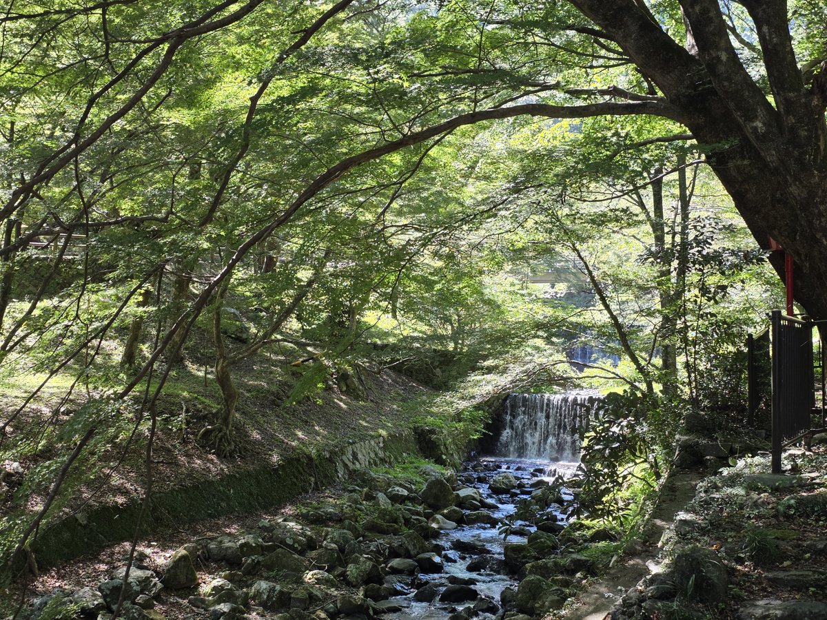 areshin10's tweet photo. 親友とパワースポット🍀森林の中の運動も兼ねて、岐阜県『養老の滝』へ行ってきました❗登りはキツかったけど良い運動と気分転換になり、美味しい物も食べれました👍彼岸花も綺麗に撮れた📷 https://t.co/PJKMStqyYu
