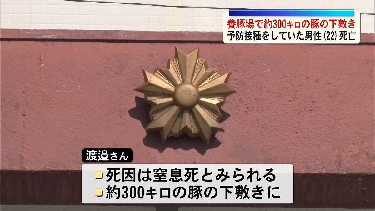 livedoornews's tweet photo. 【発見】養豚場で22歳男性死亡、発見時は300キロの豚の下敷きに
https://t.co/Y8Fj0y1bpG

21日、鹿児島県の養豚場で豚の予防接種をしていた男性が倒れており、死亡が確認された。窒息死とみられていて、発見時は豚の下敷きになっていたという。 https://t.co/K4P15Eklvn