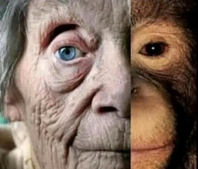 AFRICAN_KYNG's tweet photo. @HatefulTate @BraedenSorbo I was following until you lost me on the "monkey" part, coz evidence states otherwise, hence it is safe to say that you are projecting 🥱 https://t.co/U5tfEKrz7X