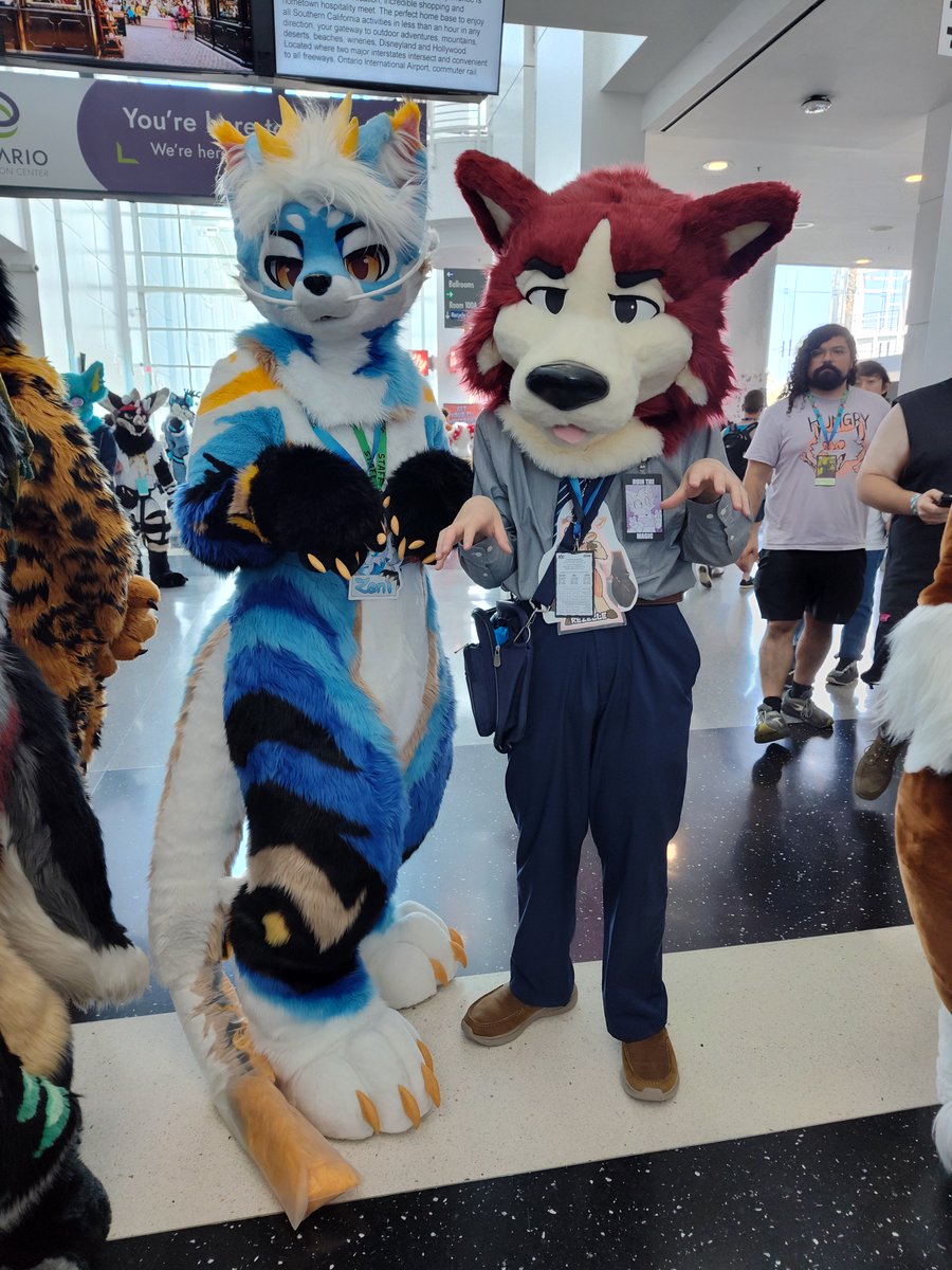 Rezelle0726's tweet photo. @mylittlepolka @wulfyloo #asc2026 #furry #furrycommunity #fursuiting https://t.co/W7GUVGnKvz