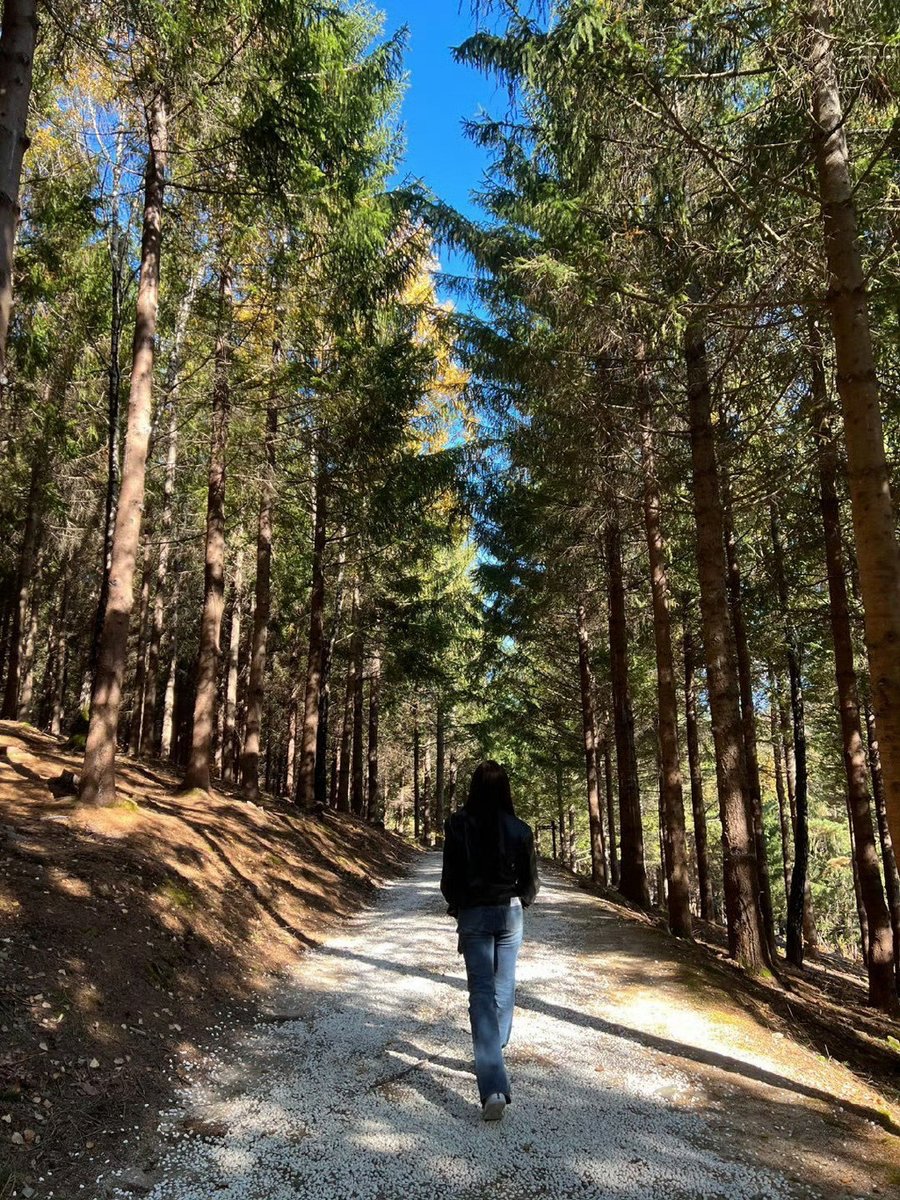 rich0ardnichola's tweet photo. Growth isn’t about being flawless—it’s about choosing to get back up, one small step at a time, even when the path feels dark. https://t.co/BVVcKJgzHn
