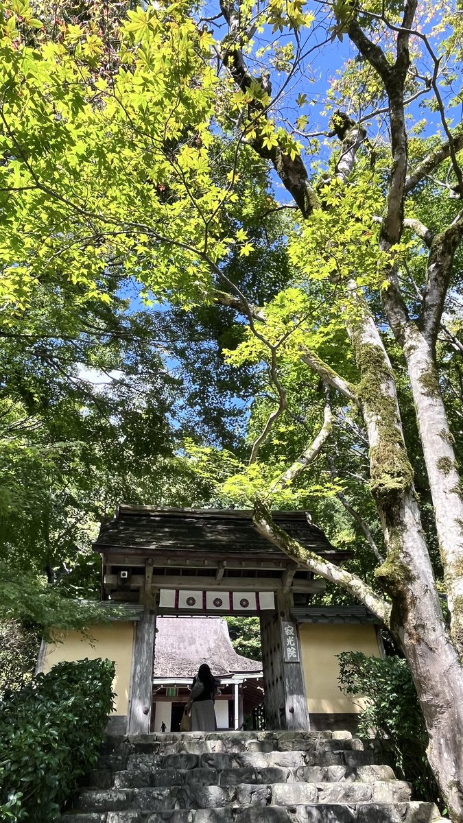 NFC873's tweet photo. 滋賀から京都・大原へ🚗まずは寂光院さんへ😊建礼門院さんが住まわれてた住居後に行くと、いつも鳥肌が🙀太陽の光パワーも凄かった✨🤗 https://t.co/Qoz29XI774