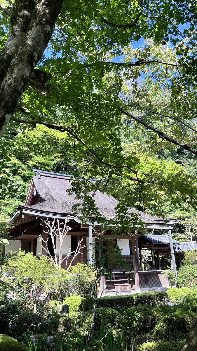 NFC873's tweet photo. 滋賀から京都・大原へ🚗まずは寂光院さんへ😊建礼門院さんが住まわれてた住居後に行くと、いつも鳥肌が🙀太陽の光パワーも凄かった✨🤗 https://t.co/Qoz29XI774
