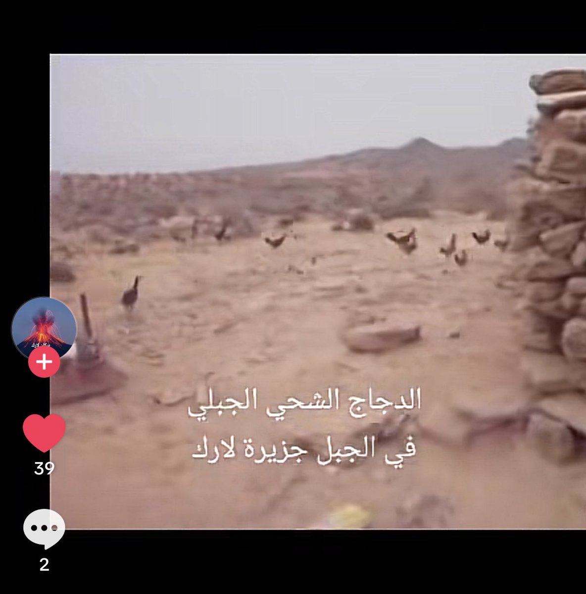 HEsh7i tweet picture