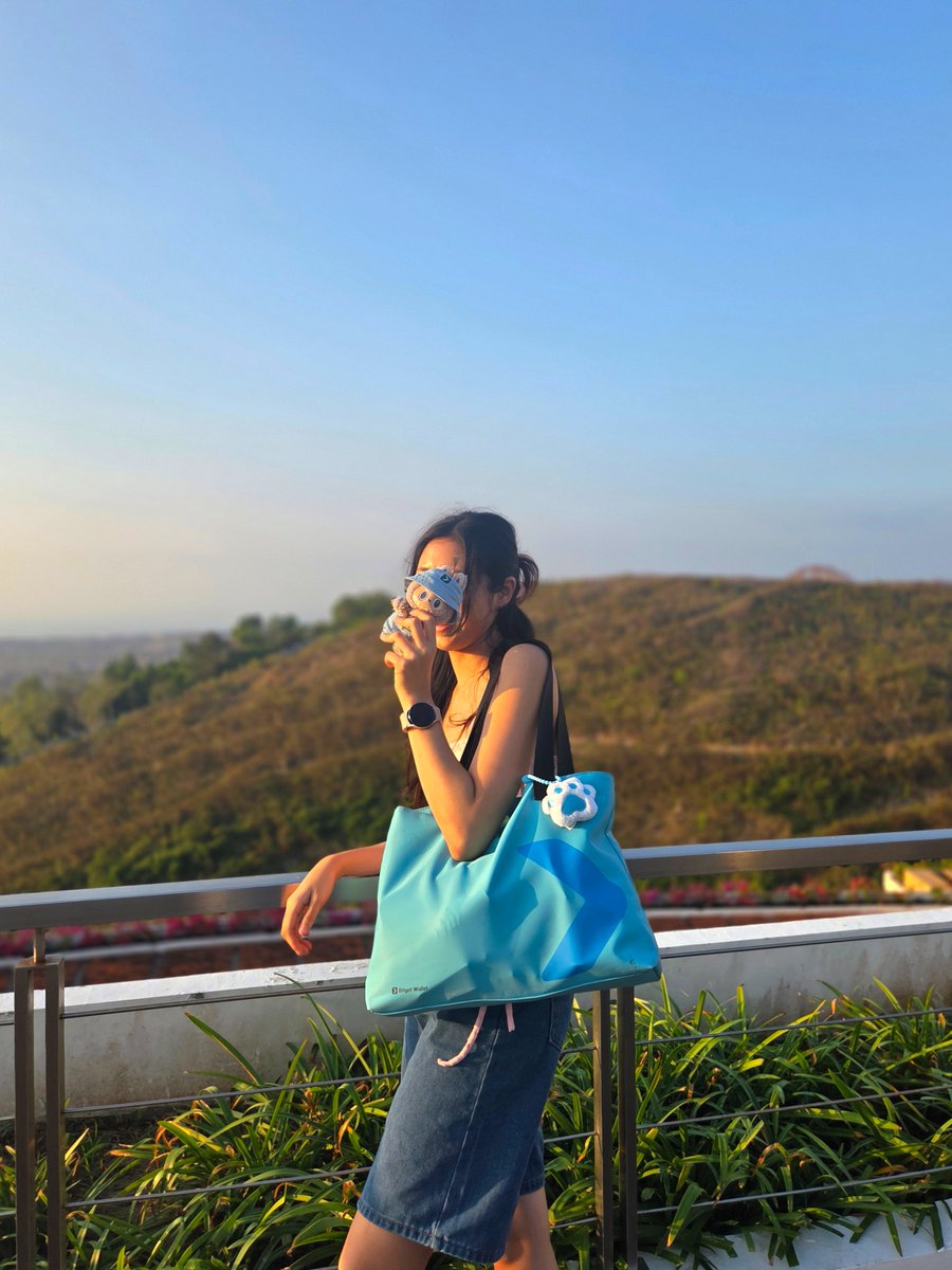 BitgetWallet's tweet photo. is this the golden hour for us

we are back above $3T https://t.co/GWfU9gERX5
