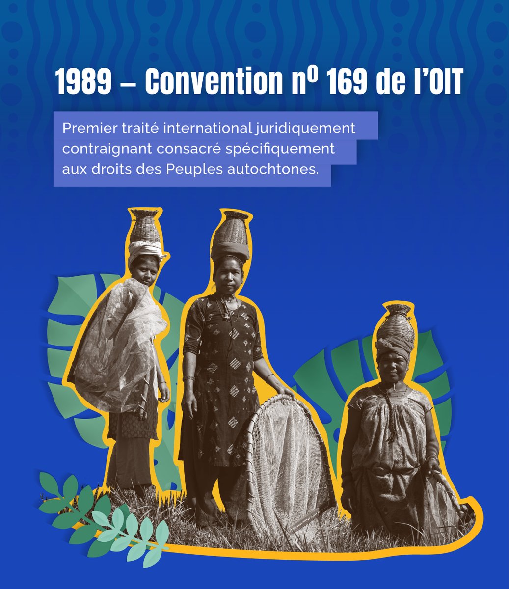 IIWF's tweet photo. 🌿 Les avancées internationales ne sont pas des concessions isolées. Elles sont le résultat d’années d’organisation, de production de données probantes, de propositions collectives et de plaidoyer mené par les Femmes autochtones.

📜 La Convention no 169 de l’OIT, la Déclaration des Nations Unies sur les droits des Peuples autochtones, les résolutions de la Commission de la condition de la femme et la Recommandation générale no 39 de la CEDEF ont charpenté une architecture internationale des droits.

✊🏽 Ces instruments reconnaissent que les Femmes et les Filles autochtones font face à des formes intersectionnelles de discrimination, mais aussi qu’elles sont titulaires de droits, productrices de connaissances et actrices fondamentales.

🌺 La proclamation du 5 septembre s’inscrit dans ce parcours normatif. Toutefois, la reconnaissance symbolique ne suffit pas.

📣 L’engagement international doit se refléter dans des politiques publiques, des budgets, des données désagrégées, une participation effective et le respect des droits individuels et collectifs des Femmes et des Filles autochtones.

Des normes à l’action. De la reconnaissance à la garantie des droits. 🌎✨

#JournéeInternationaleFemmesAutochtones #FemmesAutochtonesLeaders #FemmesAutochtones #RG39