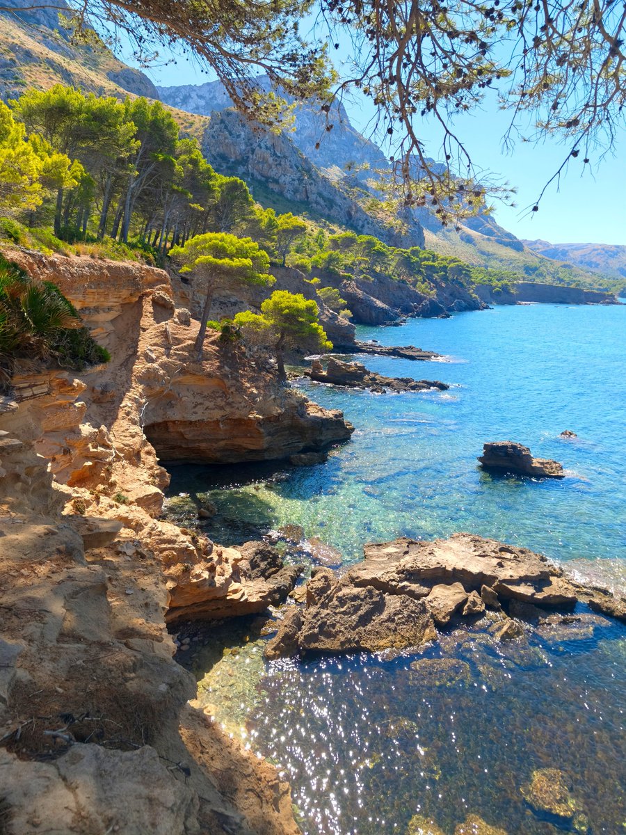 MiquelSalamanca's tweet photo. Avui és el darrer dia sencer de l'estiu. Demà comença la tardor astronòmica, a les 02 h i 05 m hora oficial peninsular. És la segona estació més curta, durarà 89 dies i 21 hores fins dia 21 de desembre. https://t.co/10GKRS7ONh