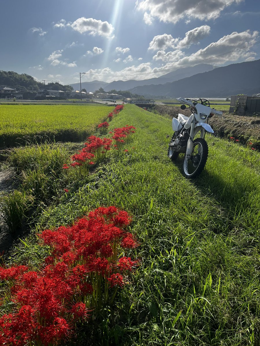 KonappS's tweet photo. 晴れてさわやかな風…。 https://t.co/KgE5AbMLcW