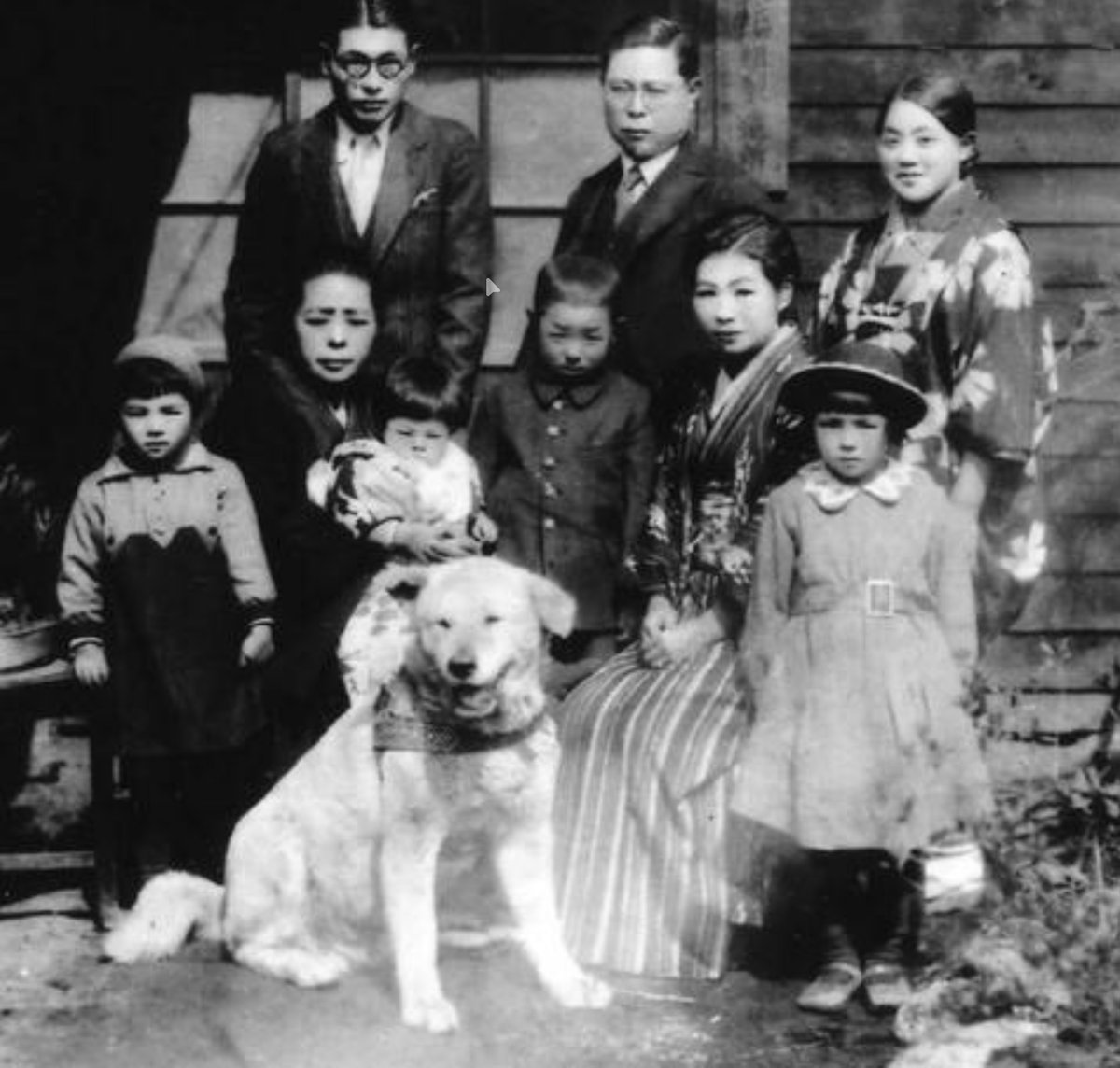 HACHIKOinu_RBH's tweet photo. Hachikō with the Hamano Family

This historical photograph shows Hachikō with the Hamano family, who lived near Shibuya Station.

By then, Hachikō had become a familiar and loved presence around Shibuya, known not only by station staff and commuters but also by families living nearby.

A simple glimpse of just how deeply Hachikō had become part of everyday life in Shibuya.

$HACHI
