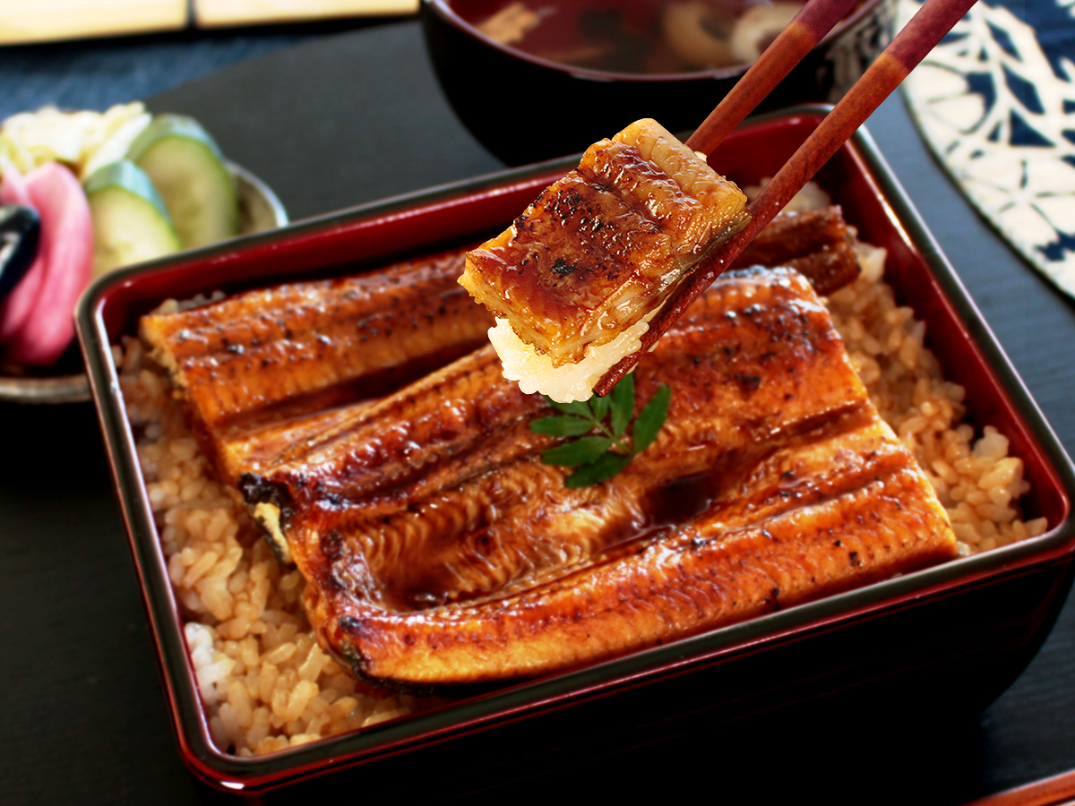 selectfood's tweet photo. お彼岸にうなぎを食べてもいいの？
そんな疑問を持つ方もいるかも？
お彼岸は、宗派や地域、家庭によって色々な習慣がありますが、お彼岸には鰻を食べてはいけないという決まりはありません。
秋分の日を迎えるこの季節。
香ばしく焼いた浜名湖うなぎを、家族で楽しんで😊
https://t.co/K6RjDJZH6p https://t.co/IEa8uAQDIC