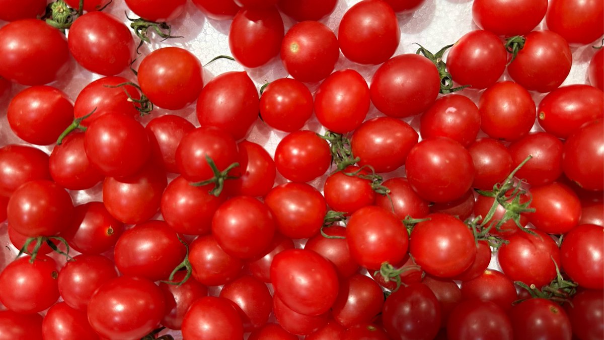 yusrah78798941's tweet photo. Just tried the plump, sun-ripened cherry tomatoes from local farm stalls—sweet, juicy, and bursting with fresh garden flavor in every bite! No weird additives, pure goodness. https://t.co/jF4R79uwSp