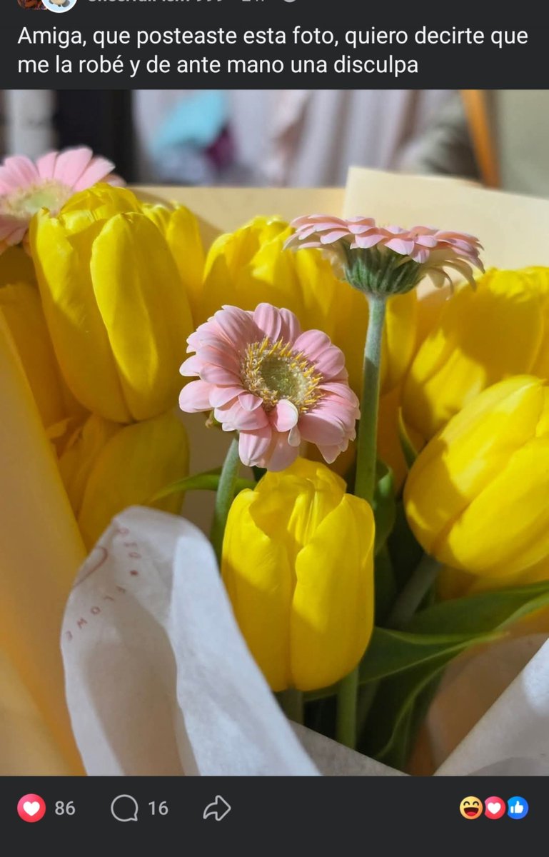 skyferts's tweet photo. Jajajaj, qué random pero sé que son unas flores preciosas. 🥹 https://t.co/usWtR7etvn