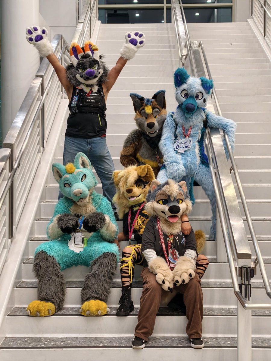 WyldJasper's tweet photo. Oops! All dogs! 🐶🐾

✂️: @CascadeFursuits / @Antler_Works / @CactusKingsSt / @BlueHarborC 

#asc2026 https://t.co/lx1v4szsVp