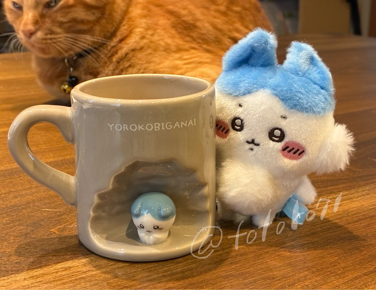 totoko71's tweet photo. ハチワレマグでコーヒー飲みた���朝 https://t.co/6V8gtYn31T