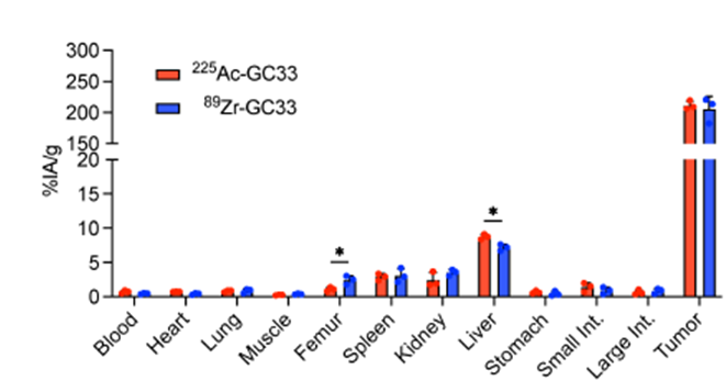 hongjaechon's tweet photo. 🎯 A #GPC3-targeting antibody: seen by PET, then armed to kill liver tumors.
— tested in orthotopic #liver mouse models.
New study in @CCR_AACR👇
👉 GPC3-targeted PET (89Zr-GC33) predicted exactly where the alpha-particle therapy (225Ac-GC33) would go
👉 In HepG2 (GPC3-high) tumors: single dose → 87.5% survival at 24 weeks vs 35-45 days in controls (p=0.0005)
👉 Effect held even in low-GPC3 tumors, with only mild, reversible toxicity
A radiotheranostic path forward for GPC3+ liver cancer.
DOI: https://t.co/sRaOYRInN1
@AACR @ILCAnews @myESMO @EASLnews #LiverX #HCC #Radiotheranostics